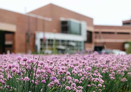 Oakton Des Plaines campus in the Spring.