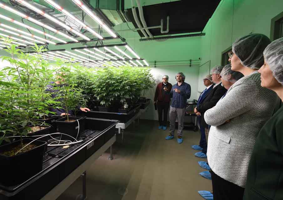 Members of the Illinois Community College Board toured the PharmaCann Cannabis Cultivation Lab during their visit to Oakton College’s Des Plaines campus on April 25.